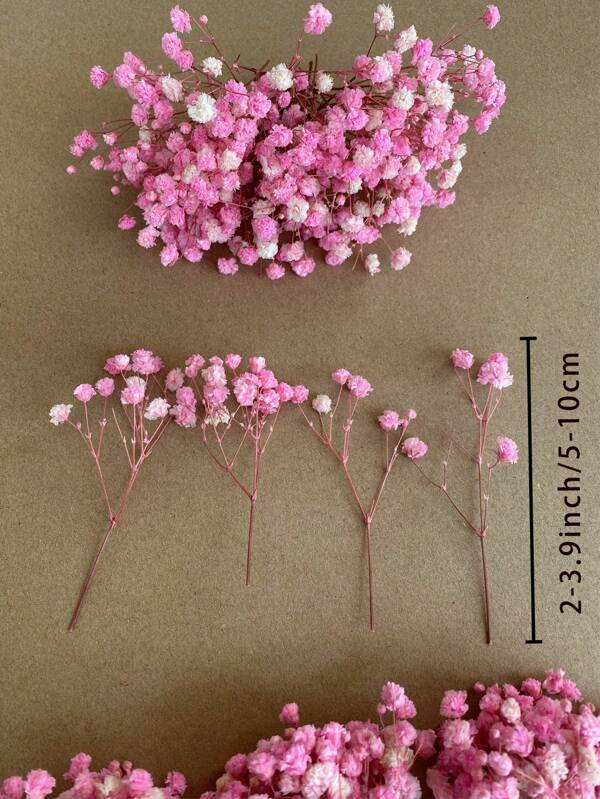 25/50/100/300Pcs Mini Baby's Breath Flowers And Other Dried Flowers - For Resin Mold Art Craft, Ivory White Flowers Bouquet For Hair Accessory, Wedding Wreath, Table Vase, Home Decor