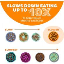 Outward Hound Fun Feeder Slo Bowl, Slow Feeder Dog Bowl, Medium/Mini, Turquoise