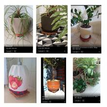 Suporte Para Vaso De Plantas Quadrado Madeira Com Rodinhas Acrilico 20cm - Laranja - Visão 5