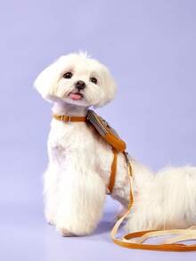 PETSIN 寵物攜帶背包teddy & Poodle繩索,胸部和背部帶,行走貓/狗的零食包和拴繩 - 彩色 - 查看 2