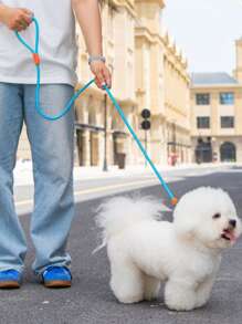 Laisse pour chien de compagnie, corde de traction amortissante en forme de P pour petits chiens/chiots, accessoire de promenade pour animaux de compagnie
