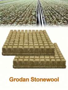 50/100 件无土栽培育苗块、生长块、带孔水培岩棉块、园艺植物生长块、透气毛毡植物生长块、花园饲养用品、非常适合生根、扦插、克隆植物、种子发芽，适合所有园艺爱好者 - 彩色 - 查看 5