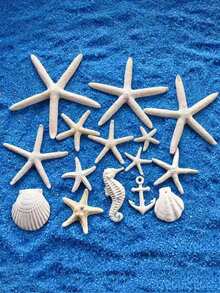 3/6件贝壳大五指海星标本地中海家居地台墙贴装饰系列配件桌面摆件海洋装饰墙面系列家居饰品树脂海星地中海风格鱼缸装饰摆件 - 白色 - 查看 2