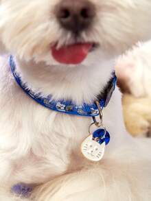 PETSIN 1 件可调节卡通猫项圈带铃铛,涤纶纤维,可分离安全扣 - 必备,猫和小型犬的宠物配件 - 彩色 - 查看 5