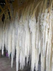 1/2/3/4/5 Sticks Hanging Amaranthus,Hanging Amaranthus Bunch,Hanging Wall Decor,Arch Flower Decor,Dry Flowers Arrangement,Wedding Decor,Fall Decor,Autumn