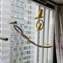 多功能麻绳鹦鹉栖木，可吸盘安装在玻璃上作为鹦鹉空中栖木，也可安装在笼子里作为鹦鹉秋千和 U 型栖木，多功能鹦鹉运动架和游乐场