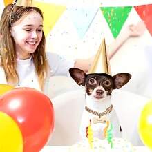 1pc Customized Luxury Rhinestone Dog Cuban Link Collar, 1.3cm Wide Hiphop Pet Necklace, Suitable For Small/Medium/Large Dogs, Pet Accessories & Gift, Can Engrave Pet Name, Phone Number, Anti-Lost Ornamental,Engraved Stylish,Fashion,Colorful,Vintage,Cute,Contracted,Cuties Custom,Unique,Customized,Personalized Pet For Anniversaries,For Birthdays,Pet Supplies,2025 Halloween Accessories,Fall Décor