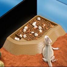 Bassin de bain pour reptiles 2-en-1 Plat d'eau pour tortue avec rampe Bol d'alimentation pour tortue avec marches En plastique, type divisé Bassin de bain pour tortue, accessoires de décoration pour l'habitat des reptiles Baignoire pour lézard, plat à nourriture pour tortue Bols à eau et à nourriture pour reptiles Bassin de bain pour reptiles Ornement d'aquarium pour gecko, serpent, tortue, dragon barbu, petit lézard