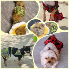 宠物狗夏季比基尼泳装小狗泳衣沙滩装适用于幼犬小猫和中小型犬猫夏季沙滩必需品