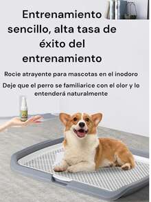 Toilet Tray For Dog And Pet Training - Grey - View 10