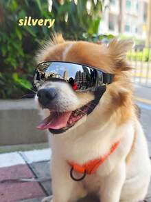 户外宠物太阳镜，高端酷炫防紫外线眼镜，防风宠物狗户外配件，适合中小型猫狗，户外宠物狗眼镜多种颜色可选