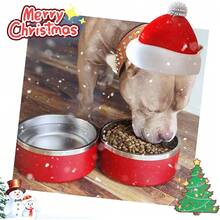 New-15  Dog Bowl For Food And Water, 64 Oz Stainls Steel Pet Feeding Bowl,  Non-Skid Double Wall Insulated Heavy Duty  Rubber Bottom For Medium Lar Dogs (64 Ounc/8 C, Red) - 紅色 64 盎司 - 查看 2