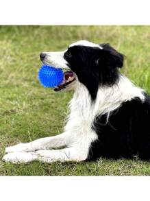1 pièce Jouet à piauler pour chien (6 couleurs), Jouet à mâcher pour chien petit/moyen/grand, Jouet nettoyant pour les dents pour un mâchage agressif