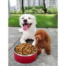 New-15  Dog Bowl For Food And Water, 64 Oz Stainls Steel Pet Feeding Bowl,  Non-Skid Double Wall Insulated Heavy Duty  Rubber Bottom For Medium Lar Dogs (64 Ounc/8 C, Red) - 紅色 64 盎司 - 查看 3