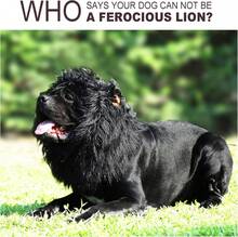 Lion Mane Wig For Dogs With Ears, Funny Pet Costumes For Halloween Christmas (Size M, Black) - Black - View 6