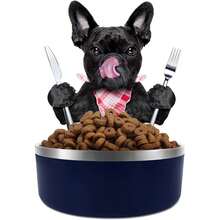 New-15  Dog Bowl For Food And Water, 64 Oz Stainls Steel Pet Feeding Bowl,  Non-Skid Double Wall Insulated Heavy Duty  Rubber Bottom For Medium Lar Sized Dogs (64 Ounc/8 C, Blue) - 藍色 64 盎司 - 查看 7