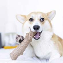 Juguete masticable duradero para perros Dogwood, grande - Palo masticable de larga duración hecho con madera real - Fabricado en EE. UU., L
