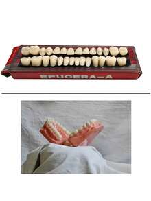 1 件全套丙烯酸树脂假牙，合成聚合物全牙，23 种 A2 色丙烯酸牙齿 + 下颌牙科材料，可用于替换、DIY 或万圣节服装 - 彩色 - 查看 3