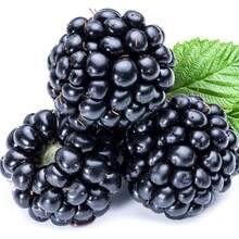 200 Pieces Of Non-GMO Raspberry Seeds For High Yields And Fast Growth