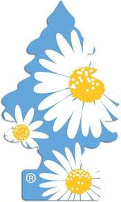 Little Trees Tropical Assorted Variety Pack Of 12 Fresheners - 12 Different Tropical Scents Of Air Fresheners - Car Air Freshener Home Air Freshner Scent  Bundle + AHSR Air Freshener - A - View 2