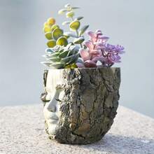 1 件 2025 创意脸型树皮花盆，小众艺术设计，增强多肉植物展示 - 花盆 - 查看 3