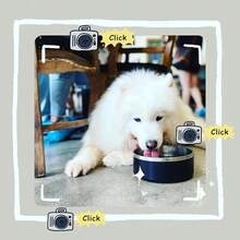 New-15  Dog Bowl For Food And Water, 40 Oz Stainls Steel Pet Feeding Bowl,  Non-Skid Double Wall Insulated Heavy Duty  Rubber Bottom For Medium Lar Sized Dogs (40 Ounc/5 C, Black) - 黑色 40 盎司 - 查看 8