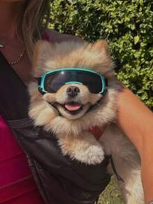 户外宠物太阳镜，高端酷炫防紫外线眼镜，防风宠物狗户外配件，适合中小型猫狗，户外宠物狗眼镜多种颜色可选