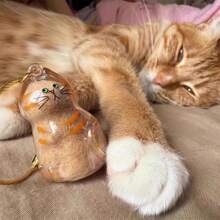 1/3/6pcs Cat Hair Storage Transparent Capsule, Cat Hair Collection Box, Charm Gashapon, Keychain Pendant, Pet Hair Storage Capsule