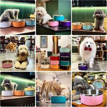 New-15  Dog Bowl For Food And Water, 64 Oz Stainls Steel Pet Feeding Bowl,  Non-Skid Double Wall Insulated Heavy Duty  Rubber Bottom For Medium Lar Dogs (64 Ounc/8 C, Pink) - 粉紅色 64 盎司 - 查看 2
