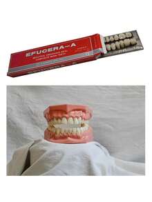 1 件全套丙烯酸树脂假牙，合成聚合物全牙，23 种 A2 色丙烯酸牙齿 + 下颌牙科材料，可用于替换、DIY 或万圣节服装 - 彩色 - 查看 4