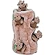 Squirrel 5 Piece Set
