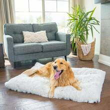 Best Friends By Sheri 4-In-1 Orthopedic Dog Nap, Medium Dog Bed Elevated Beds, Crates, And Furniture, Washable Shag Cover,-Resistant Bottom, Taupe, 27x36