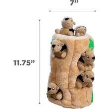 New-15  Hide A Squirrel Plush Dog Toy Puzzle, XL - 松鼠五件套 - 查看 7