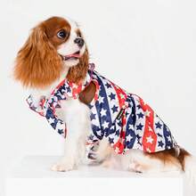 Fitwarm Dog Sunflower Dress, Dog Clothes Small Dogs Girl, Pet Apparel, White, Yellow, Red, Large - Patriotic - View 2