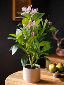 1 pieza de 21 cm a 40 cm de altura, Plantas artificiales tropicales de azalea, rama de árbol de caucho falso, hojas de magnolia de plástico verde con tacto real de seda para decoración del hogar, jardín, boda y balcón, sin maceta