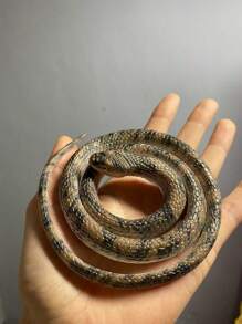 Serpiente suave de goma para broma, divertida para fiestas y uso diario, serpiente de plástico suave con textura realista, de material TPR impermeable y elástico, regalo para el Día de los inocentes y cumpleaños