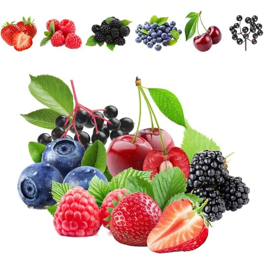 1100pcs Mixed Fruit Seeds Berry Seeds For Planting 200pcs Strawberry 200pcs Raspberry 200pcs Mulberry 200pcs Blueberry 200pcs Elderberry 10pcs Cherry - 1000 chiếc - Xem 1