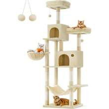 Cat Trees & Condos