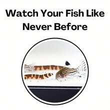 1 件装水族馆逃生场景装饰隧道，适用于鱼缸、水族馆景观装饰