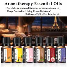 1 Pezzo da 0,34 fl. once Olio essenziale aromaterapico idrosolubile a lunga durata, fragranza rinfrescante e non irritante, aiuta a purificare l aria, calmare la mente e rilassare, adatto per salotti, camere da letto, bagni, uffici, interni di auto ecc. Compatibile sia con pietre per diffusori che con macchine per aromi, senza alcol