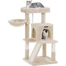 Cat Trees & Condos