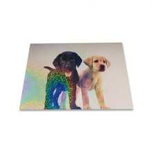 50 Sheets Sand Dot Holographic Clear Vinyl Cold Laminated Film Holographic Overlay 2.9*4.1 Inches Self-Adhesive Vinyl For Stickers, Protective And Decorative Film School Supplies,Back To School