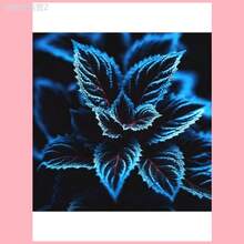 Adad111 20 Coleus Seeds Rare Color Blue Black Green Flower Plant Lawn - 1 - 查看 2