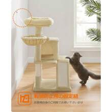 Cat Trees & Condos