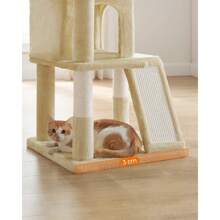 Cat Trees & Condos