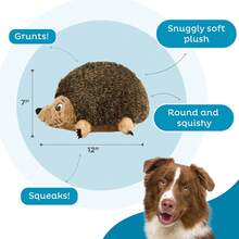 Outward Hound, Hedgehogz Plush Dog Toy, Large - Chó Nhím Nhồi Bông - Xem 9