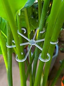4pcs Of Plant Support Clips Sturdy Stem Clamps For Climbing Plants - Plastic Material/Plant Stands & Protective Equipment/Plant Cages And Stands/Garden/Wedding/Holiday Essentials/Teacher Gifts/Camping/Garden Decor