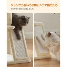 Cat Trees & Condos