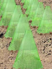 15 stuks beschermhoezen voor zaailingen, schaduwhoezen voor planten, windscherm voor groentezaailingen, schaduwnet voor planten, zonwering voor meloenzaailingen, zonwering voor zaailingen, anti-ongedierte