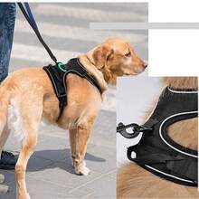 Upgraded Pet Leash & Harness Set For Walking Dogs, Cat Chest Strap, Walking, Anti-Escape, Anti-Bite, Durable, Reflective, Breathable, Suitable For Small/Medium/Large Dogs